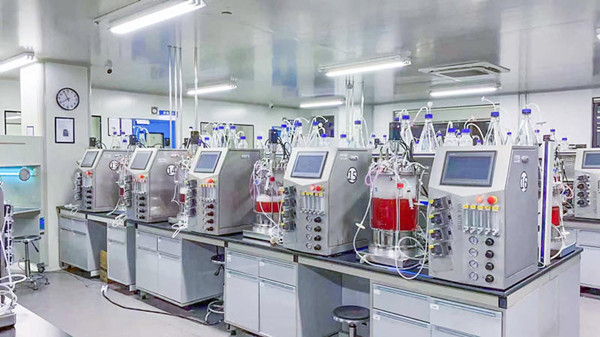 發(fā)酵行業(yè)如何選擇蠕動泵注意事項(xiàng)